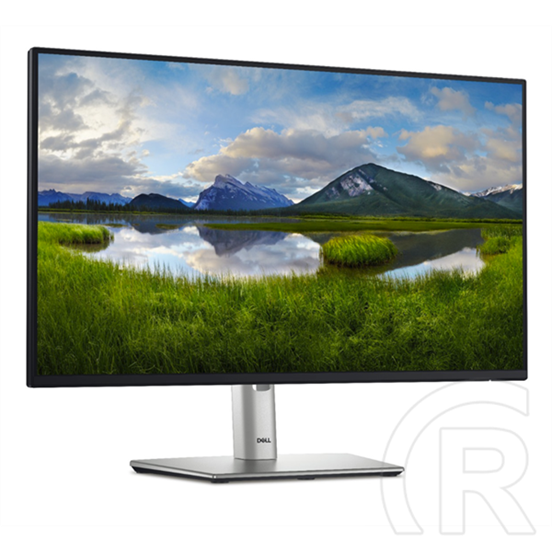 23,8" Dell P2425H IPS LED monitor