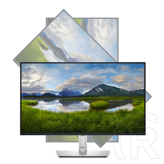 23,8" Dell P2425H IPS LED monitor