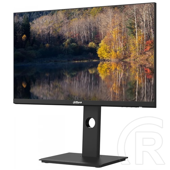 24" Dahua LM24-P301A IPS LED monitor