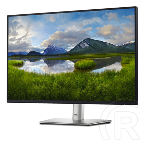 24" Dell P2425E IPS LED monitor