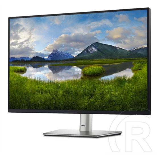 24" Dell P2425 IPS LED monitor