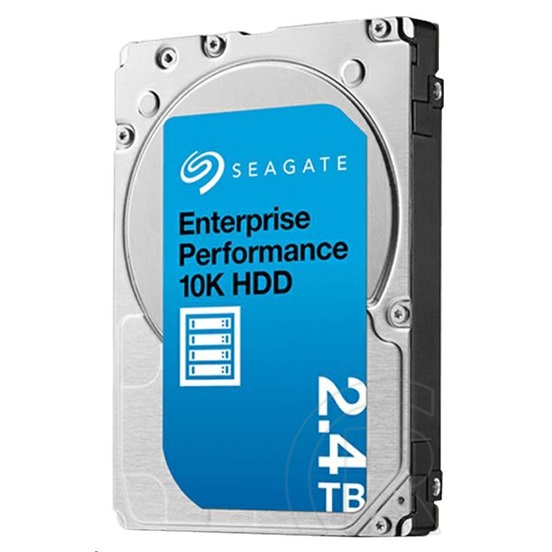 2,4 TB Seagate Enterprise Exos 10E HDD (2,5", SAS, 10000 rpm, 256 MB cache)