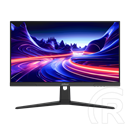 25" Dahua LM25-E231B IPS monitor