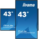 42,5" iiyama ProLite LH4375UHS-B1AG IPS LED monitor