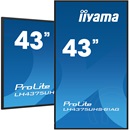 42,5" iiyama ProLite LH4375UHS-B1AG IPS LED monitor