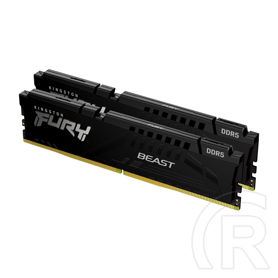 64 GB DDR5 6000 MHz RAM Kingston Fury Beast Black EXPO(2x32 GB)