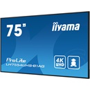 75" iiyama ProLite LH7554UHS-B1AG IPS LED monitor