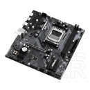 Asrock A620M-HDV/M.2 (mATX, AM5)