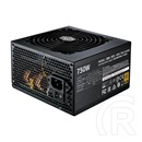 Cooler Master MWE V2 750W 80+ Gold