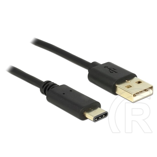 Delock USB 2.0 kábel (A dugó / C dugó, 2 m, fekete)