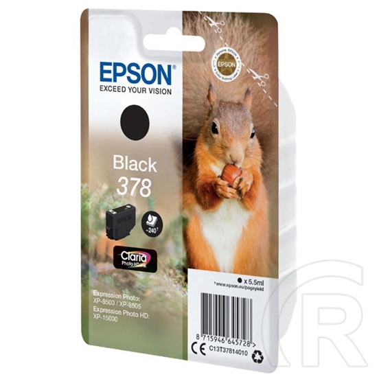 Epson Patron T3781 (fekete)