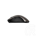 Genius Ergo 8100S Wireless mouse Champagne Titanium