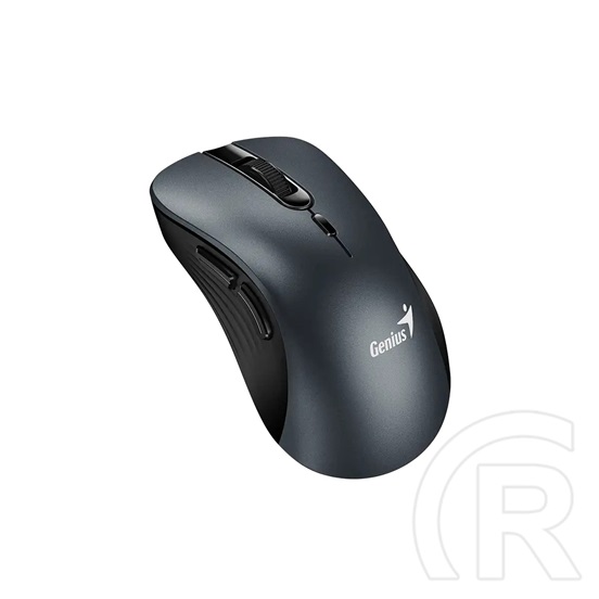 Genius Ergo 8100S Wireless mouse Iron Grey