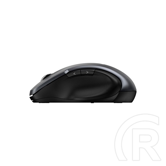 Genius Ergo 8200S Wireless mouse Iron Grey