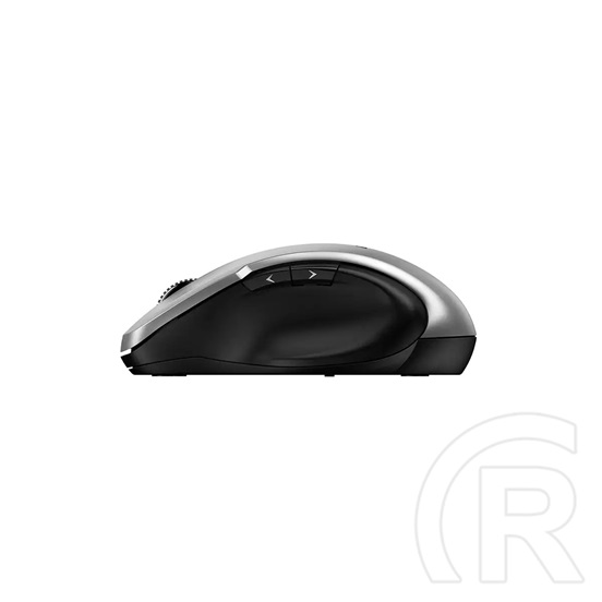 Genius Ergo 8200S Wireless mouse Silver