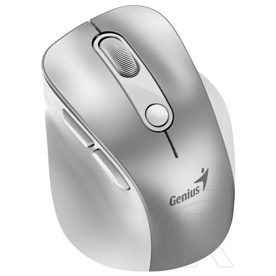 Genius Ergo 9000S Pro Wireless mouse Silver