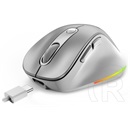 Genius Ergo 9000S Pro Wireless mouse Silver