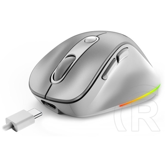 Genius Ergo 9000S Pro Wireless mouse Silver