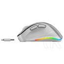 Genius Ergo 9000S Pro Wireless mouse Silver