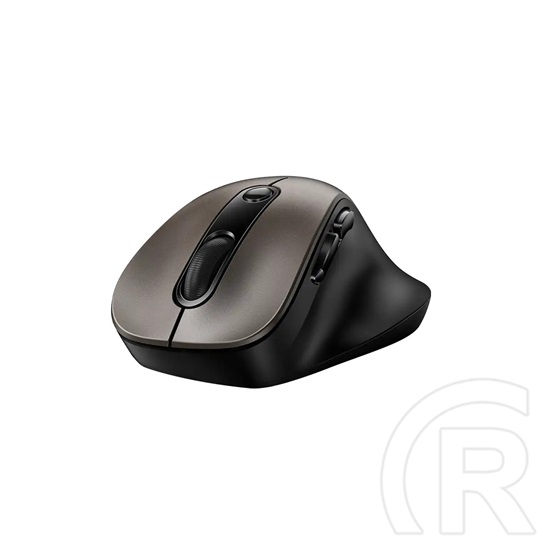 Genius Ergo 9000S Wireless mouse Champagne Titanium