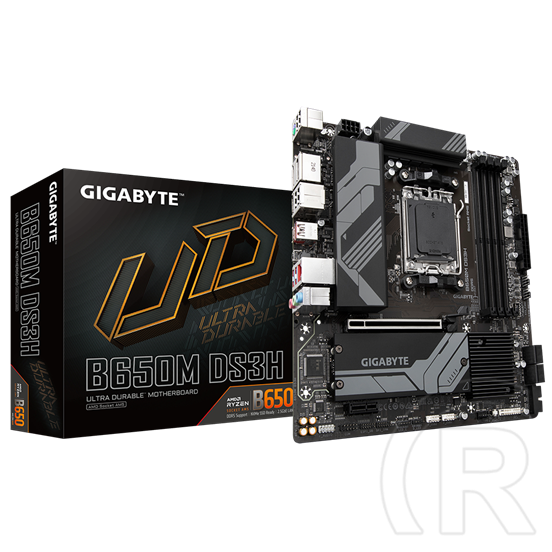 Gigabyte B650M DS3H (mATX, AM5)