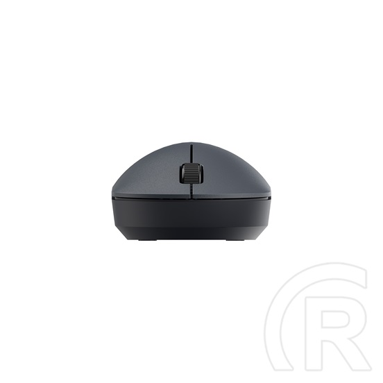 Xiaomi Wireless Mouse Lite 2 (fekete)